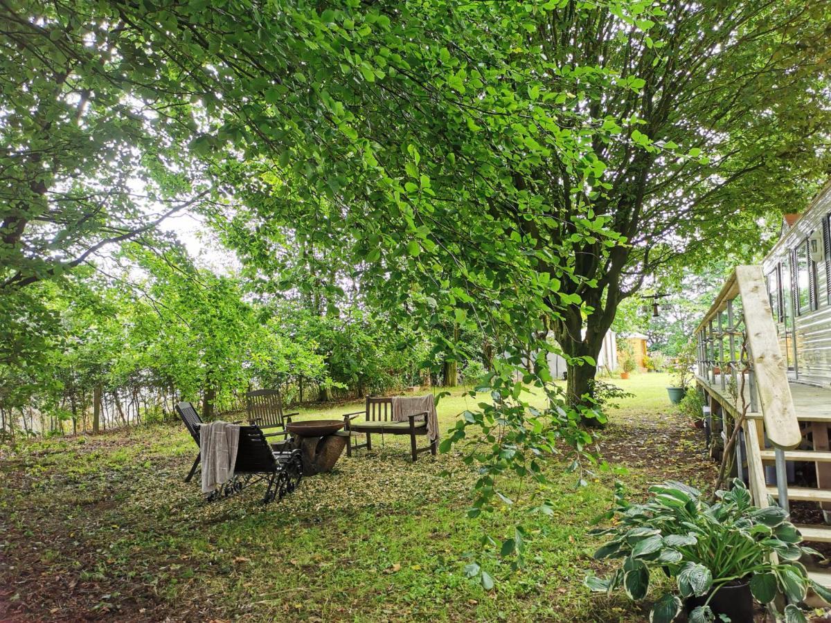 Doughery Den The Dark Hedges Hideaway Armoy Esterno foto